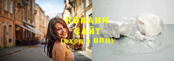прущие грибы Каменногорск