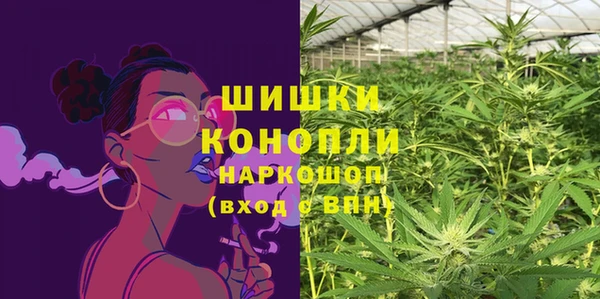 индика Каменка