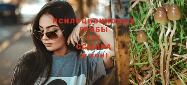 ешки Кинешма