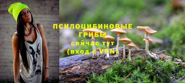 индика Каменка
