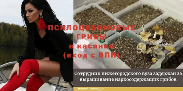 хмурый Касимов