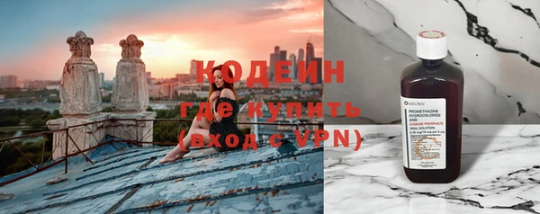 прущие грибы Каменногорск