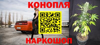 стаф Пушкино